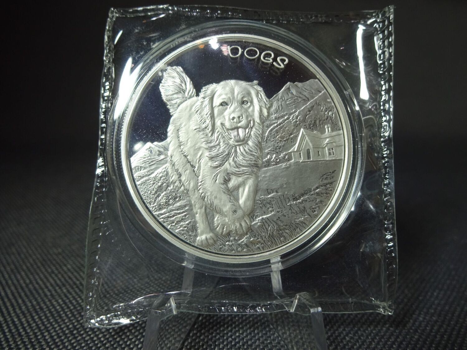 Silbermünze Fidschi Fiji 2022 50 Cents Dogs Hunde Golden Retriver 1 Oz Unze
