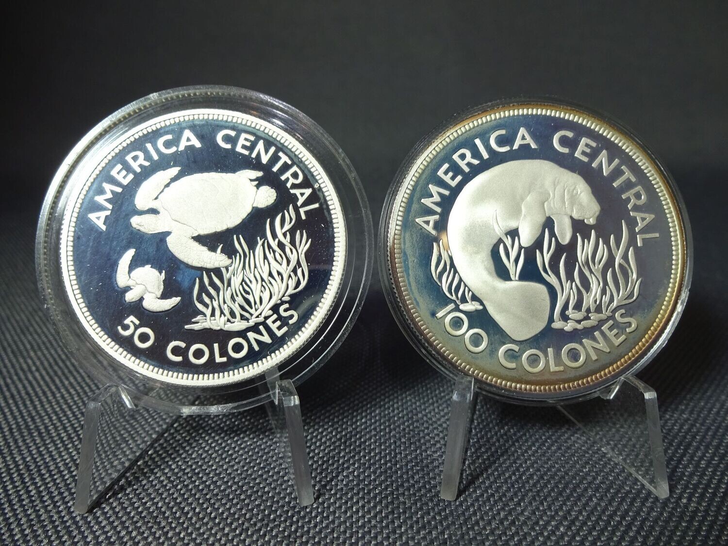 Silbermünzen Set 1974 Costa Rica 50 100 Colones Schildkröte Manatee Seekuh Wildlife WWF Naturschutz PP Proof Silbermünzen Set 1974 Costa Rica 50 100 Colones Schildkröte Manatee Seekuh Wildlife WWF Naturschutz PP Proof