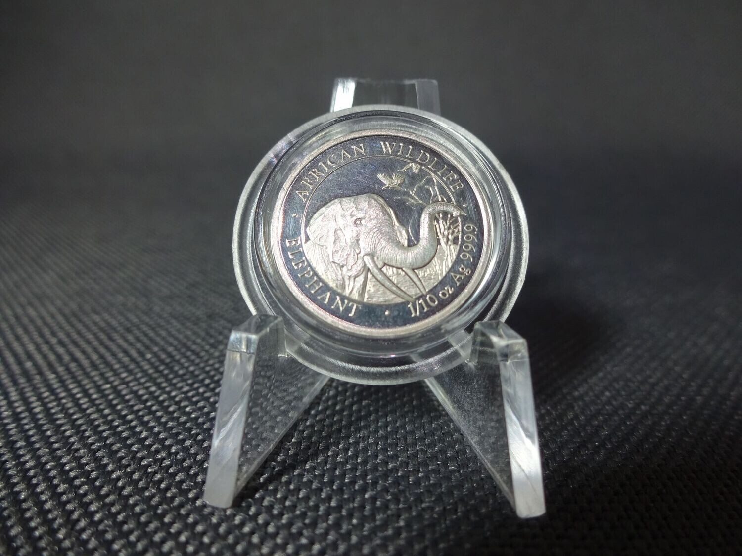 Silbermünze Somalia Elefant 2018 10 Shillings African Wildlife 1/10 Oz Unze Silbermünze Somalia Elefant 2018 10 Shillings African Wildlife 1/10 Oz Unze