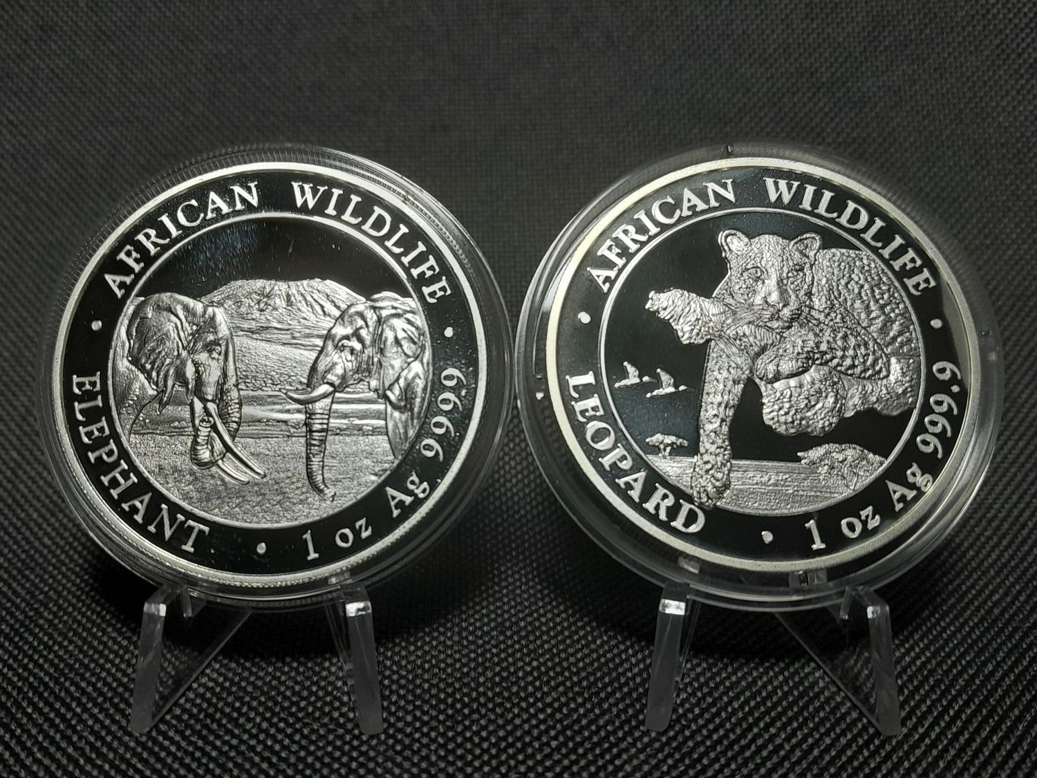 Silbermünzen Set Somalia Elefant Leopard 2020 100 Shillings Wildlife 1 Oz Unze