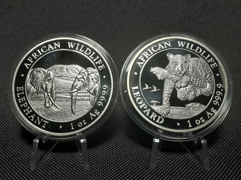 Silbermünzen Set Somalia Elefant Leopard 2020 100 Shillings Wildlife 1 Oz Unze Silbermünzen Set Somalia Elefant Leopard 2020 100 Shillings Wildlife 1 Oz Unze