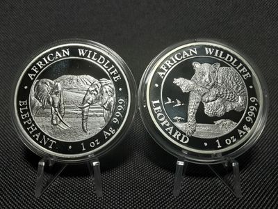 Silbermünzen Set Somalia Elefant Leopard 2020 100 Shillings Wildlife 1 Oz Unze Silbermünzen Set Somalia Elefant Leopard 2020 100 Shillings Wildlife 1 Oz Unze