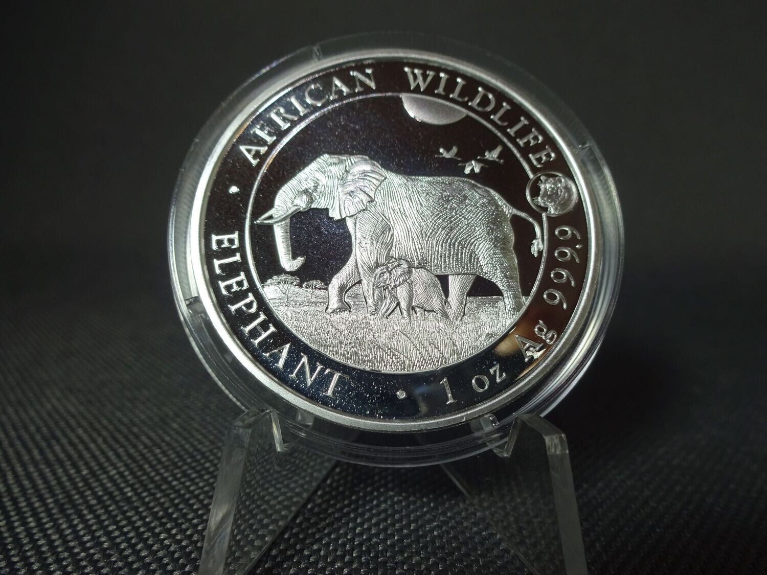 Silbermünze Somalia Elefant 2022 100 Shillings Wildlife Privy Mark Tiger 1 Oz Unze