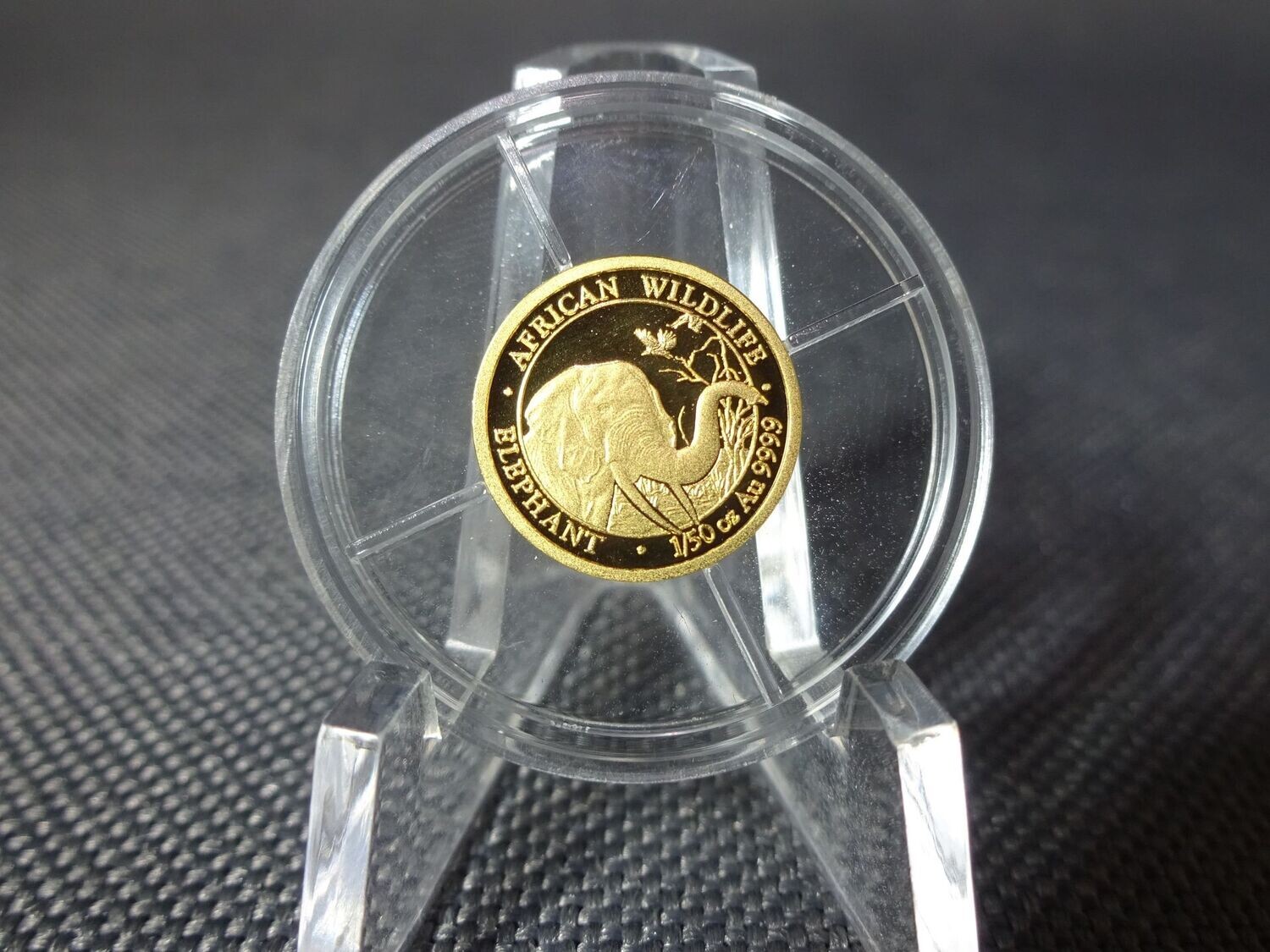 Goldmünze Somalia Elefant 2018 20 Shillings African Wildlife 1/50 Oz Unze Goldmünze Somalia Elefant 2018 20 Shillings African Wildlife 1/50 Oz Unze