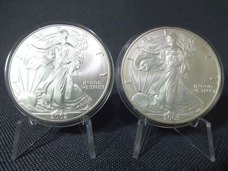 Silbermünzen Set USA 2002 2003 1 Dollar American Silver Eagle Walking Liberty 1 Oz Unze Silbermünzen Set USA 2002 2003 1 Dollar American Silver Eagle Walking Liberty 1 Oz Unze