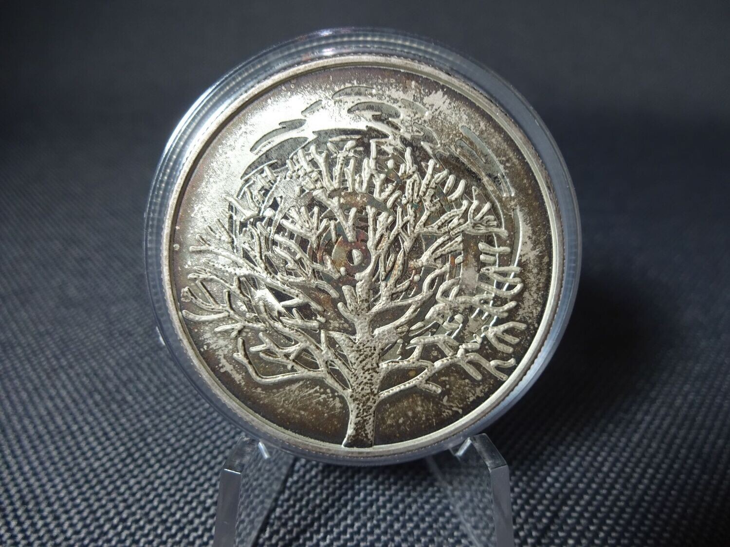 Silbermünze Israel 2004 2 Schekel Burning Bush PP Proof Selten