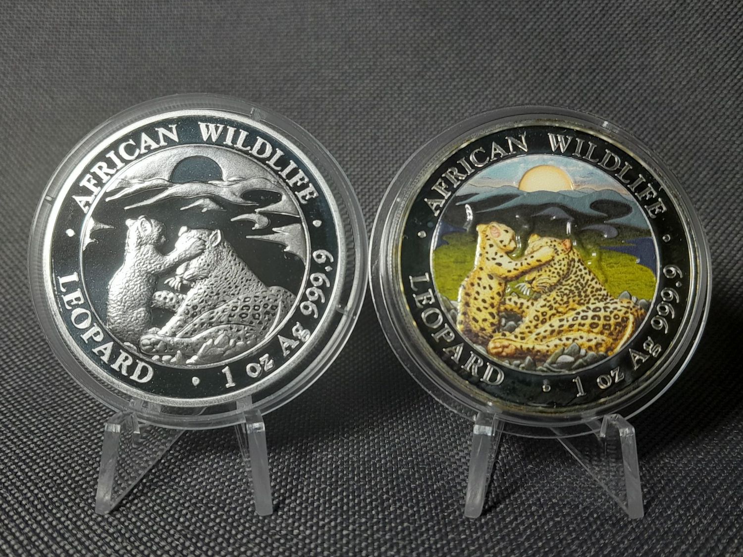 Silbermünzen Set Somalia Leopard 2019 100 Shillings Wildlife Farbe 1 Oz Unze Silbermünzen Set Somalia Leopard 2019 100 Shillings Wildlife Farbe 1 Oz Unze