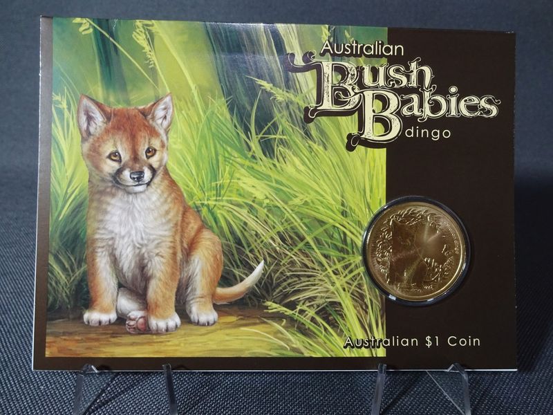 Münze Australien 2011 1 Dollar Bush Babies Dingo Hund Coincard