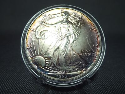 Silbermünze USA 1993 1 Dollar American Silver Eagle Walking Liberty 1 Oz Unze Lila Patina