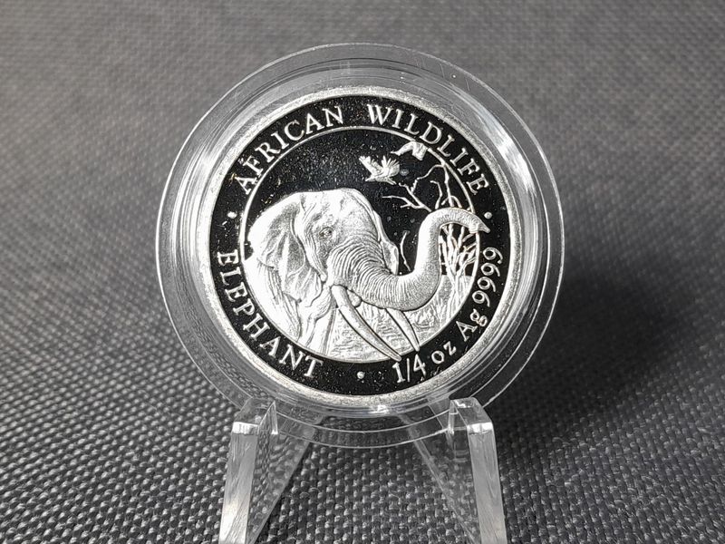 Silbermünze Somalia Elefant 2018 25 Shillings Selten African Wildlife 1/4 Oz Unze