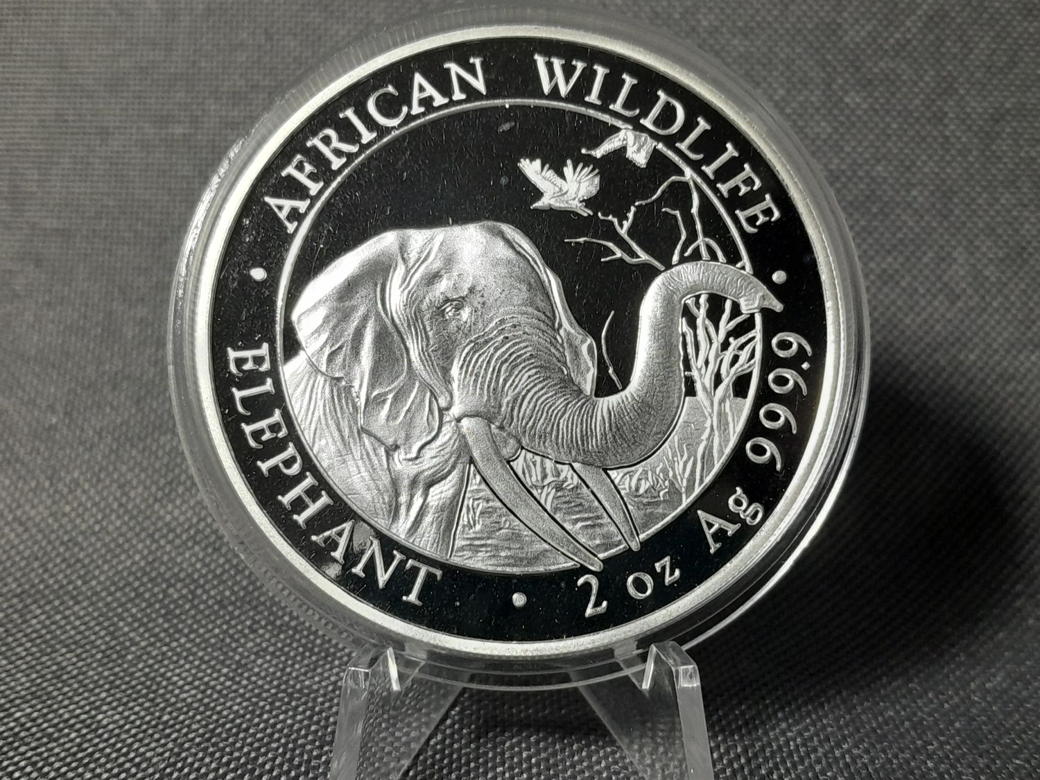Silbermünze Somalia Elefant 2018 200 Shillings African Wildlife 2 Oz Unze Selten Silbermünze Somalia Elefant 2018 200 Shillings African Wildlife 2 Oz Unze Selten