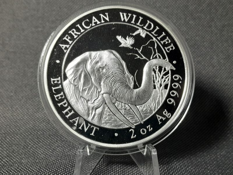 Silbermünze Somalia Elefant 2018 200 Shillings African Wildlife Selten 2 Oz Unze Silbermünze Somalia Elefant 2018 200 Shillings African Wildlife Selten 2 Oz Unze