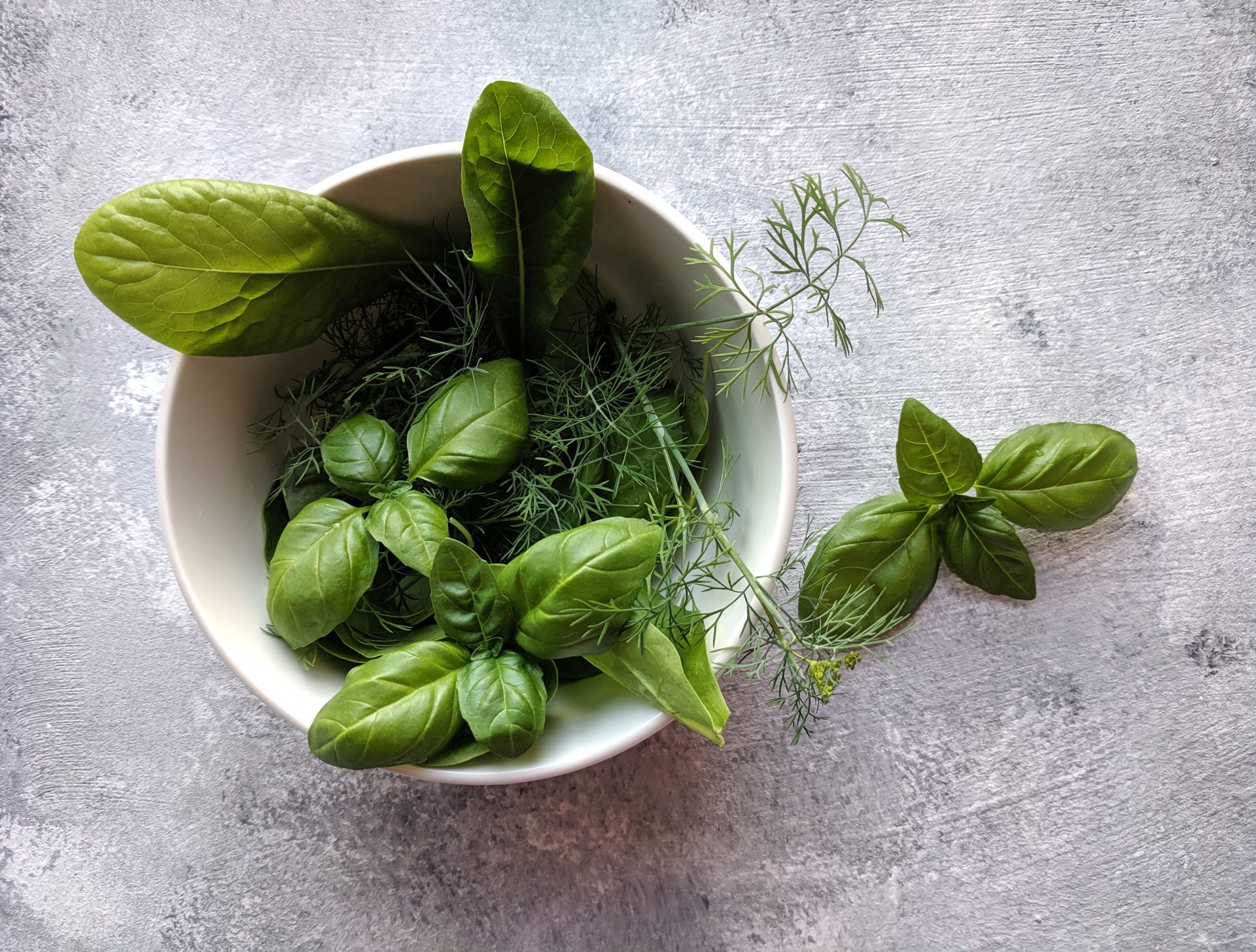 Basil Essential Oil - น้ำมันหอมระเหยโหระพา