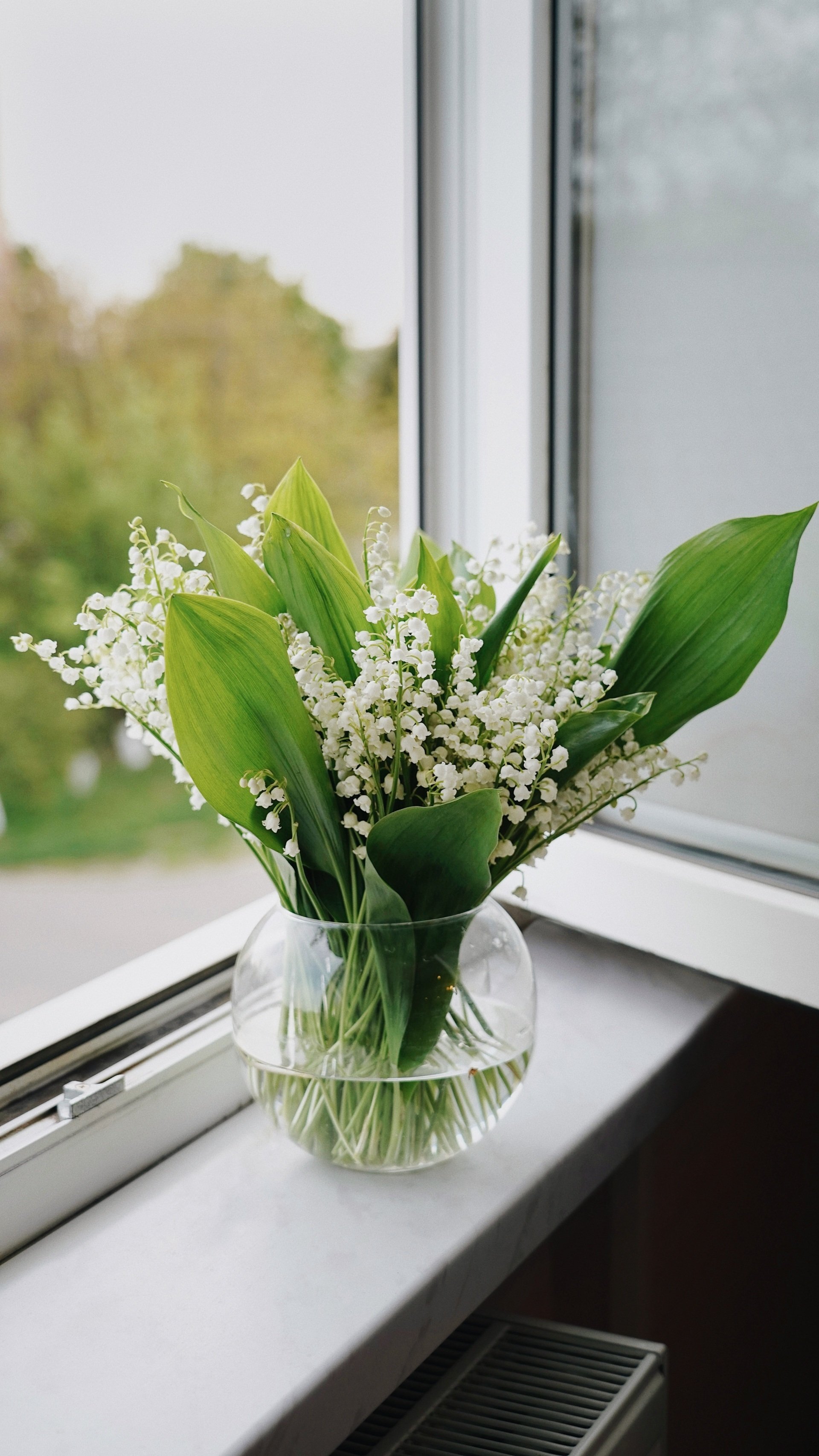 Lily of the Valley Fragrance Oil - หัวน้ำหอมกลิ่น ลิลลี่ออฟเดอะวัลเลย์
