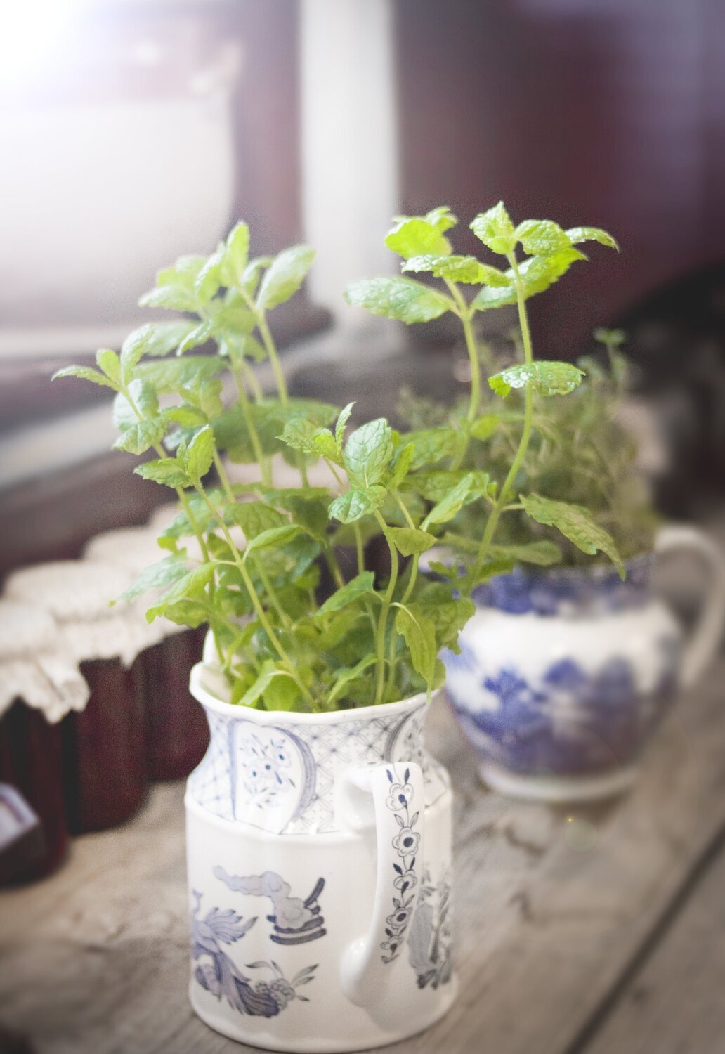 Basil Essential Oil - น้ำมันหอมระเหยโหระพา