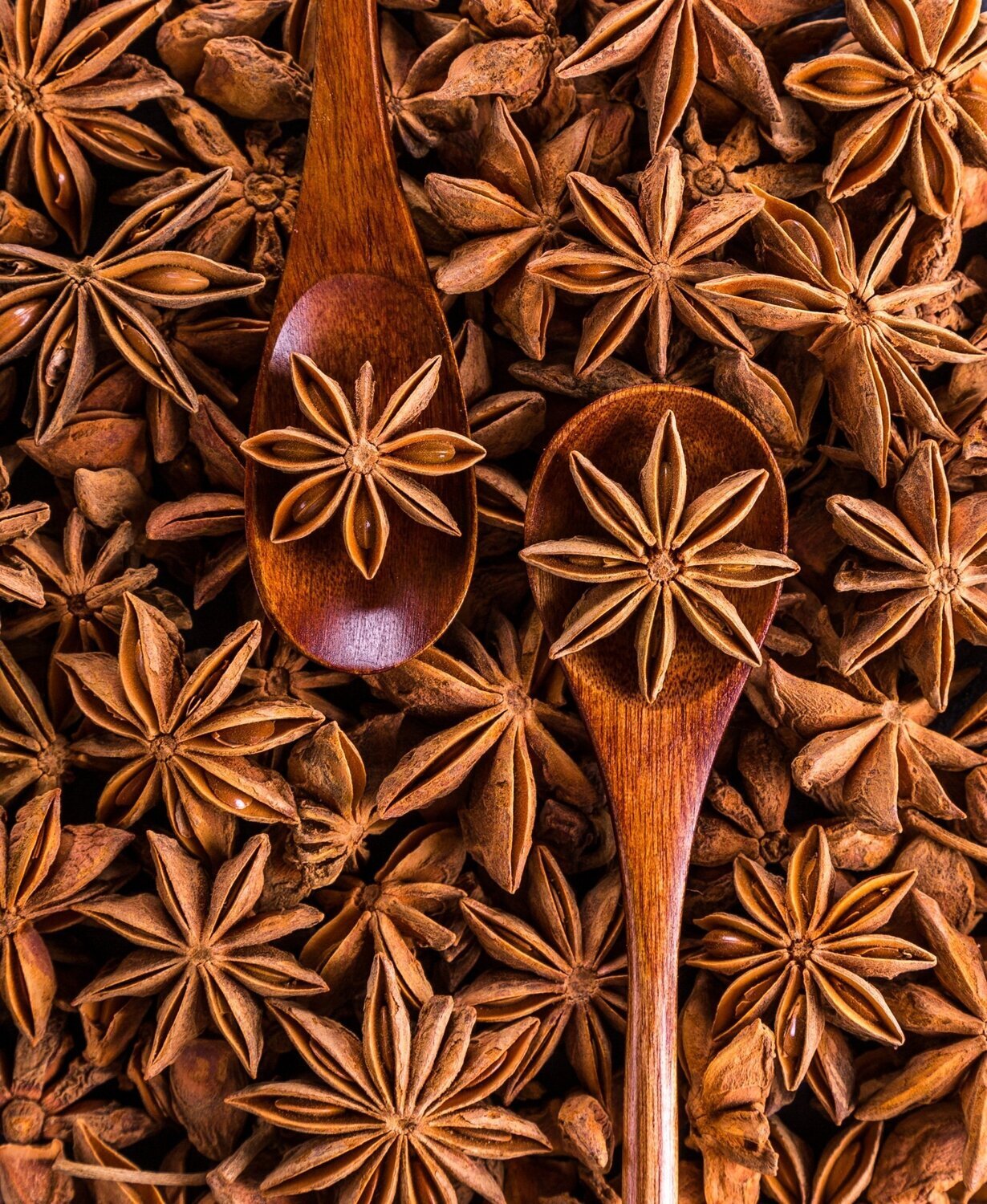 Anise Essential Oil - น้ำมันหอมระเหยโป๊ยกั๊ก