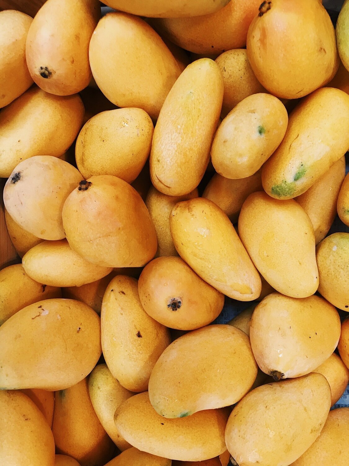 Mango Fragrance Oil - หัวน้ำหอมกลิ่น มะม่วง