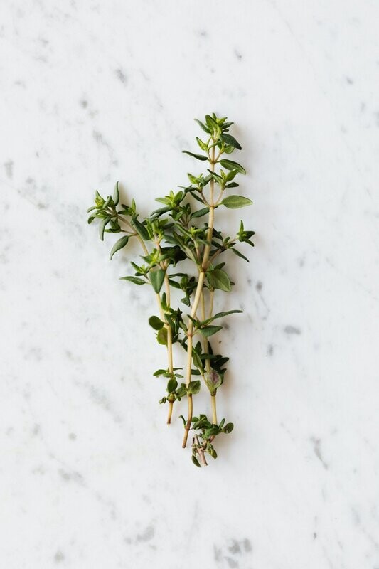 White Thyme Essential Oil - น้ำมันหอมระเหยใบไทม์