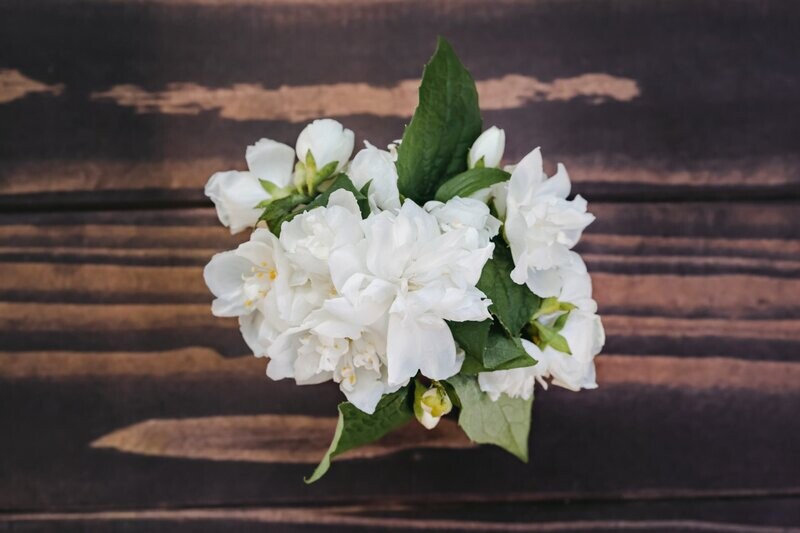 Jasmine Fragrance Oil - หัวน้ำหอมกลิ่น มะลิ