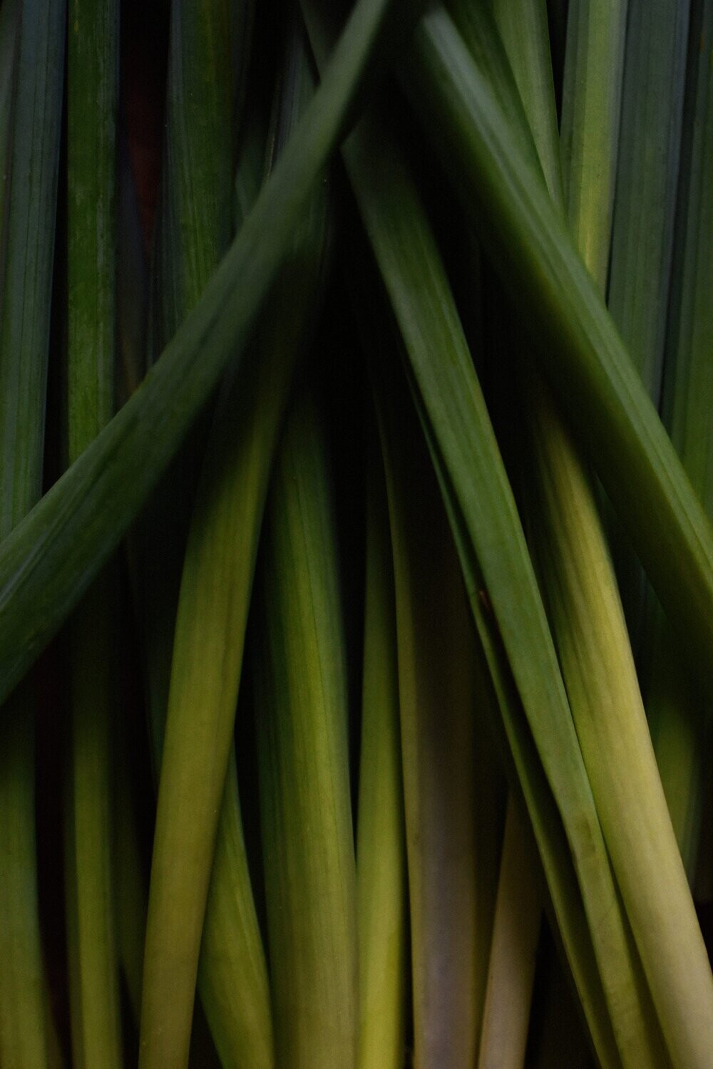 Lemongrass Fragrance Oil - หัวน้ำหอมกลิ่น ตะไคร้บ้าน