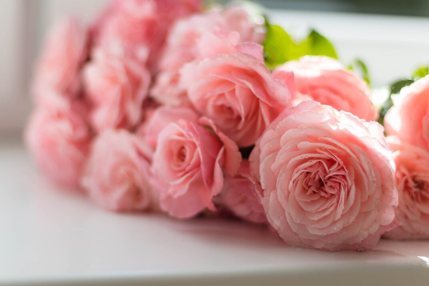 Peony Fragrance Oil - หัวน้ำหอมกลิ่น ดอกโบตั๋น