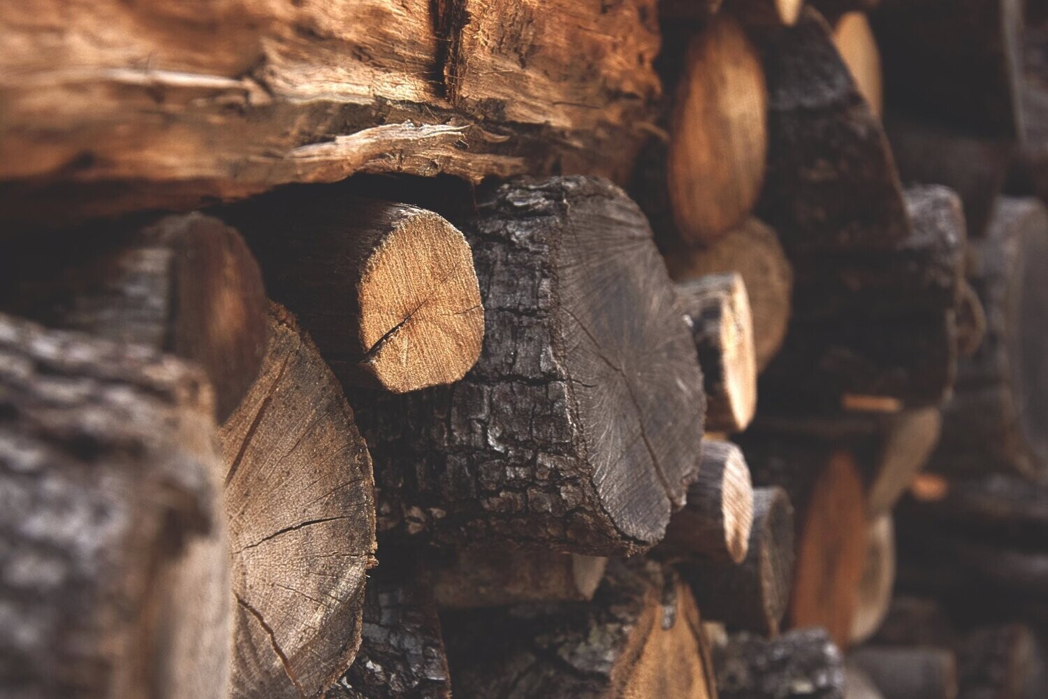Wood Fragrance Oil - หัวน้ำหอมกลิ่น ไม้