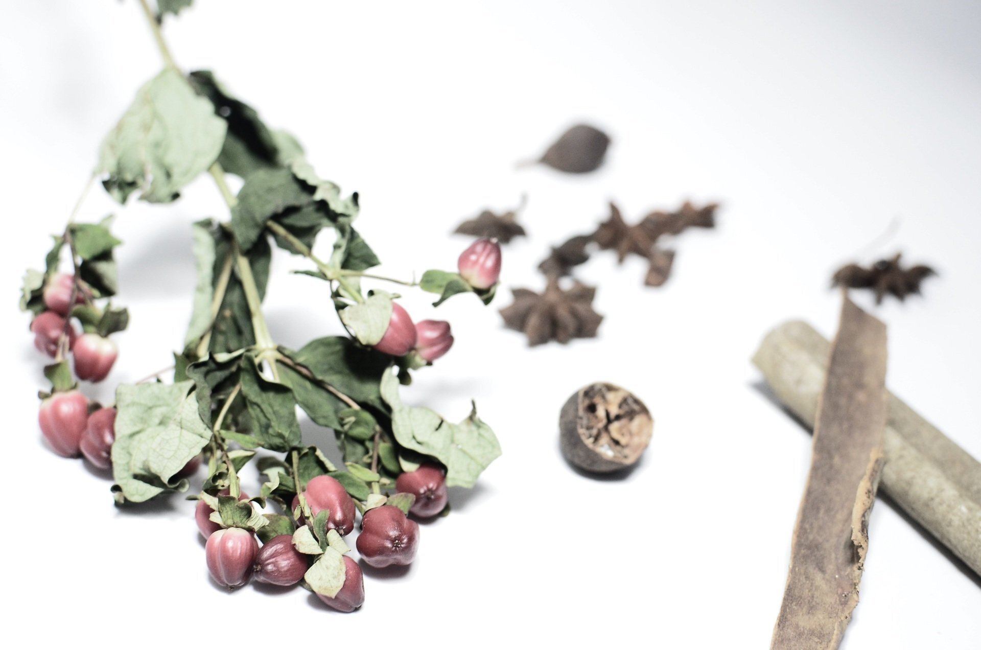 Cinnamon (Leaf) Essentail Oil - น้ำมันหอมระเหยใบอบเชย