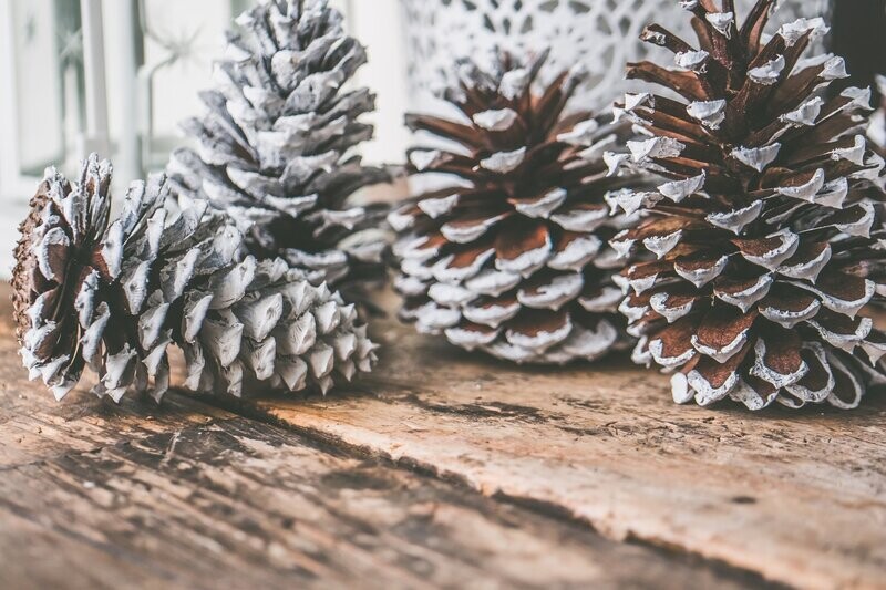 Cedarwood Essential Oil - น้ำมันหอมระเหยไม้สนซีดาร์