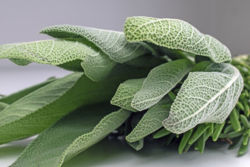 Sage Essential Oil - น้ำมันหอมระเหยเสจ