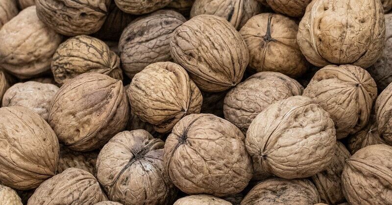 Nutmeg Fragrance Oil - หัวน้ำหอมกลิ่น ลูกจันทน์เทศ