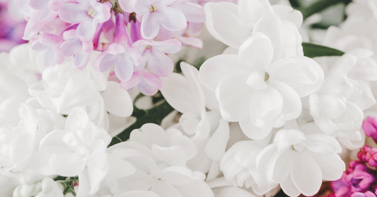 Royal Jasmine Fragrance Oil - หัวน้ำหอมกลิ่น ดอกมะลิ