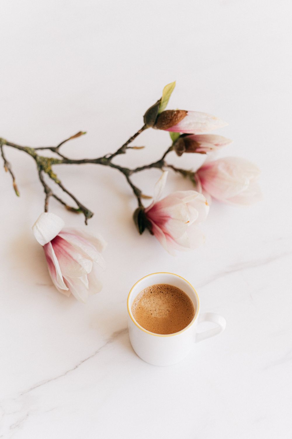 Cotton Blossom Fragrance Oil - หัวน้ำหอมกลิ่น คอตตอน บลอสซั่ม