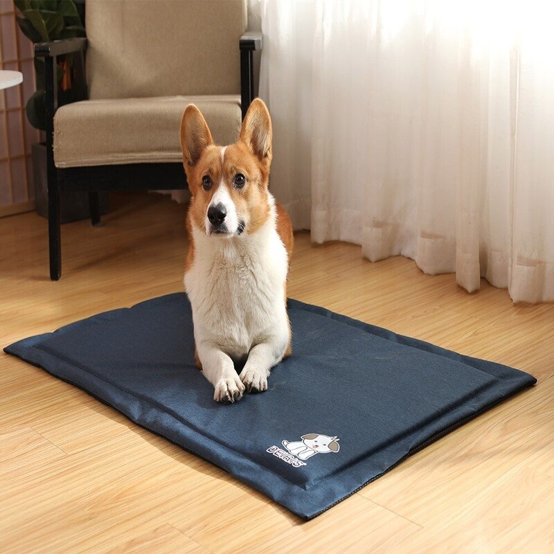 Pet reusable bed pad