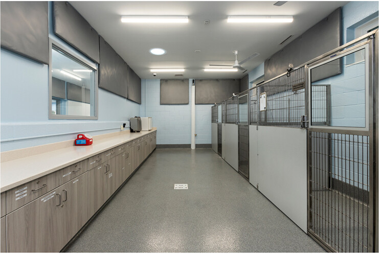 VET Panels VET Panels