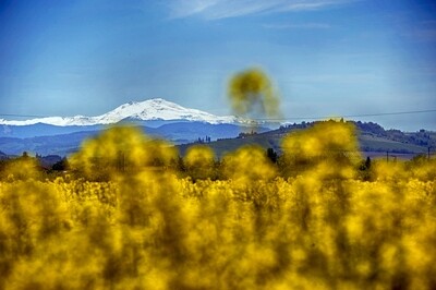 Monte Cimone