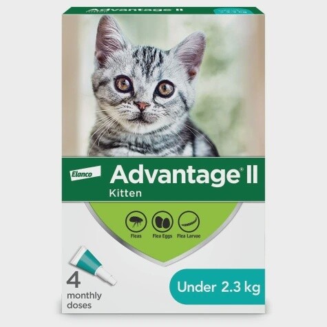Advantage II Kitten 4pk