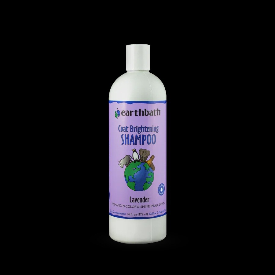 earthbath Coat Brightening Shampoo Lavender 16 oz