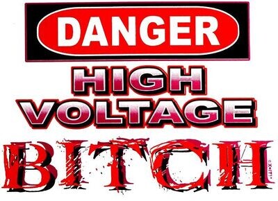 Danger - High Voltage Bitch T Shirt
