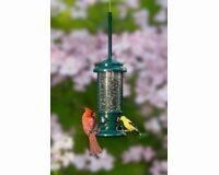 Bird Feeders