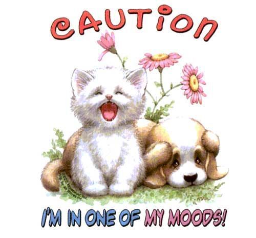 Caution, I'm in one of my Moods! T Shirt