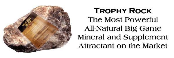 Deer Mineral Blocks