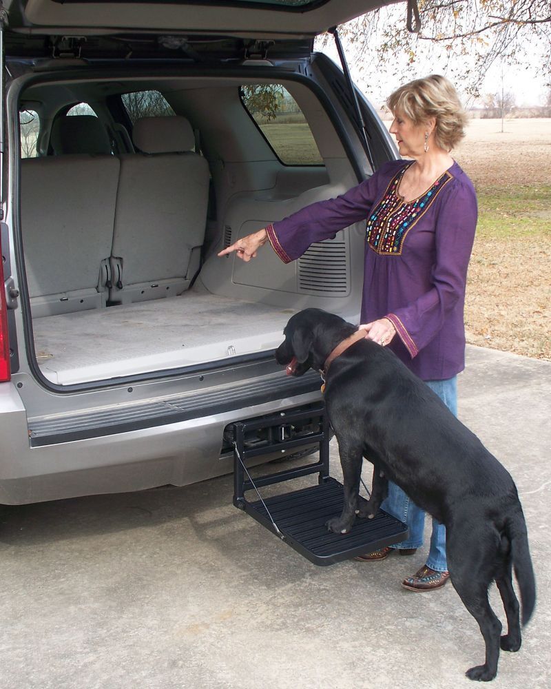 Great Day HITCH-UP PET STEP