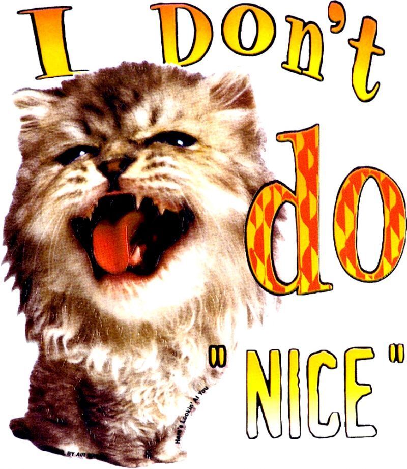 I Don't Do Nice Kids T Shirt