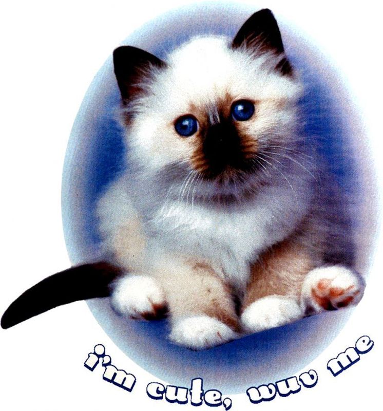 I'm Cute, Wuv Me T Shirt