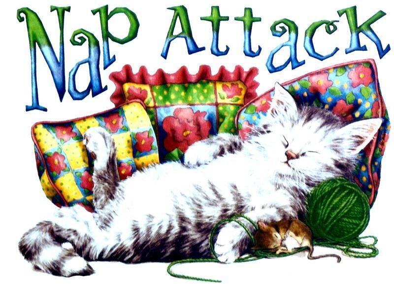 Nap Attack T Shirt