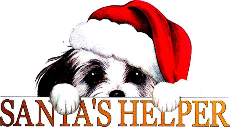 Santa's Helper T Shirt