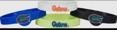 Ncaa Florida Gators Silicone Bracelets, 4-Pack