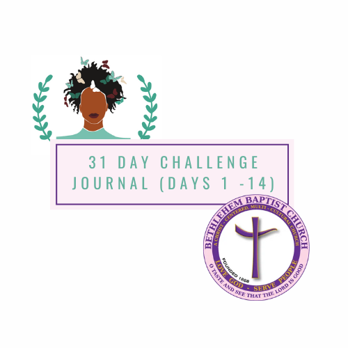 NVL Challenge Journal: Days 1–14