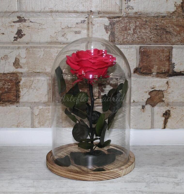 Rosa eterna con baúl cristal