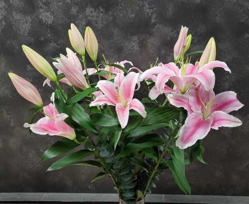 Ramo de 5 tallos de lilium oriental rosa